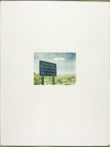 Untitled (garden) view