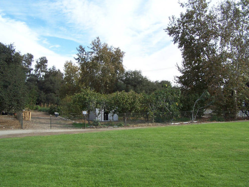 Grass, path, and trees