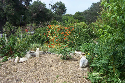 Hey covered ground and greenery divided by rocks