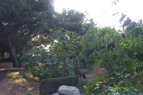 Wooden board leaning against rock