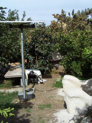 Solar panel and trees