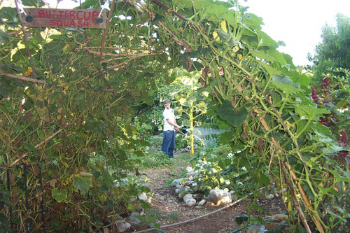 Student watering plants