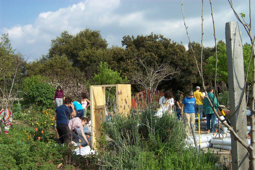 Wide view of students at earth dome construction