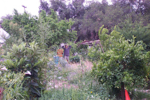 Two figures amidst the greenery