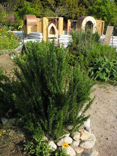 Green plants and dome construction