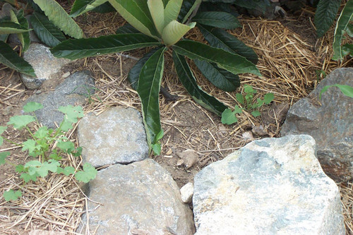 High-angle view of rocks