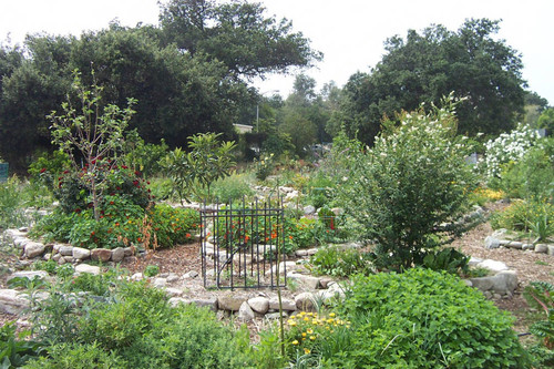 Garden with assortment of plants and flowers