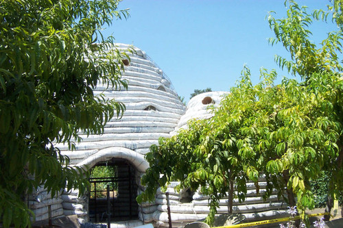 Earth Dome and trees