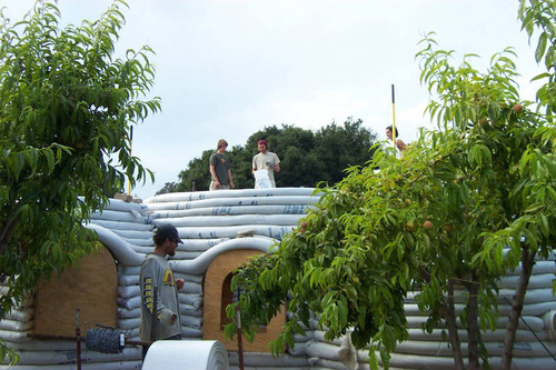 Students, trees, and Earth Dome