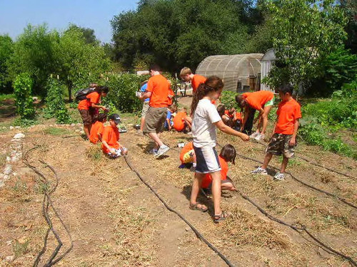 Children being instructed