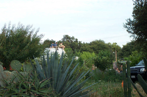 Cacti with Earth Dome behind them