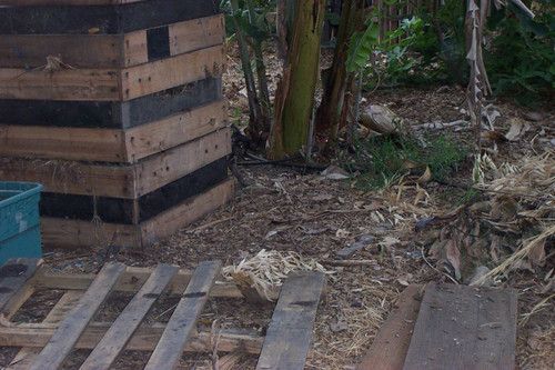 Compost bin and wooden boards