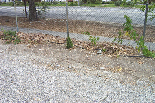 Gravel path and sidewalk divided by chain fence