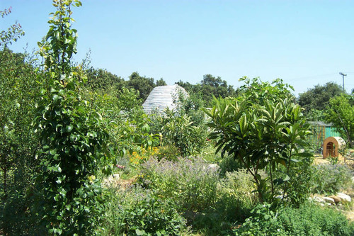 Earth Dome surrounded by greenery