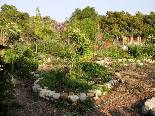 Garden path