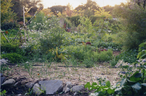 Farm view