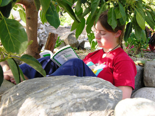 Student reading Asma Barlas book under tree