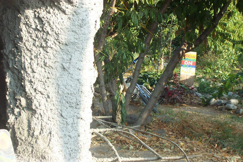 Wall, tree, and sign