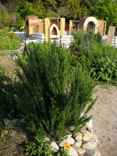 Plants and dome construction