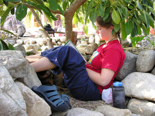 Student reading book under tree