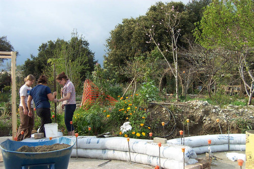 Dome construction and garden plants