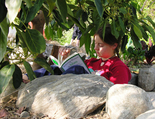 Student under tree reads believing women in Islam