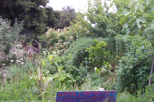 Greenery and sign