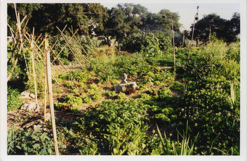 Farm view