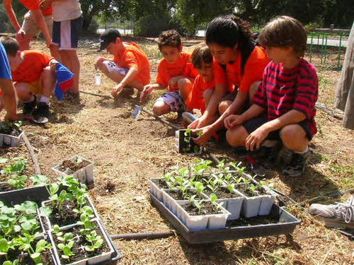 Children planting