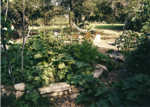 Farm view