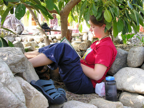 Student reading book under tree while leaning on rocks