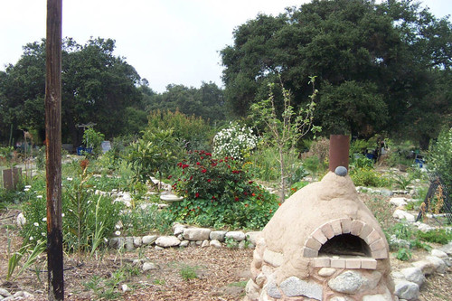 Cob oven in front of garden plants