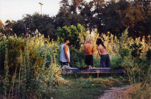 Students at the farm