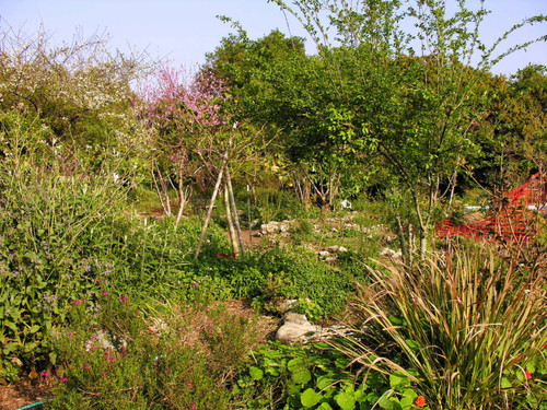 Landscape with greenery