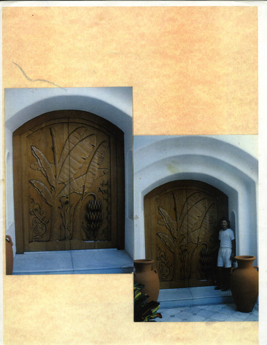 Earth Dome door inspiration