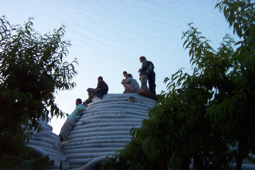 Students on Earth Dome framed by trees