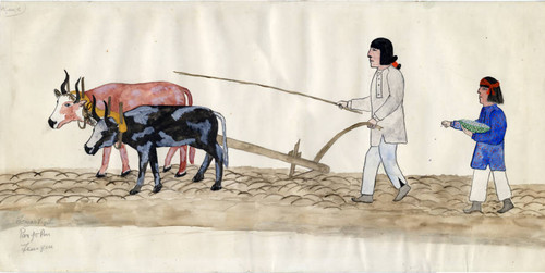 Two men ploughing and sowing with two oxen