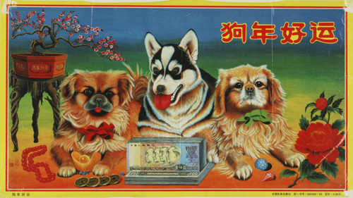 Lucky dog's year