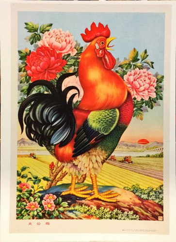 大公鸡 = A big rooster