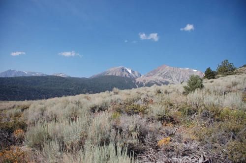 View toward Tioga Pass from the lateral moraine on the north side of Lee Vining Canyon