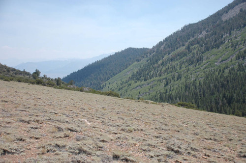 View from the mine area looking south down the canyon