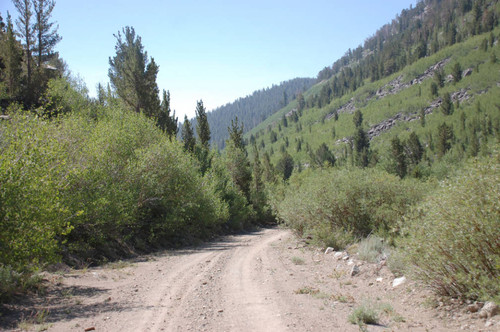 View north from the road