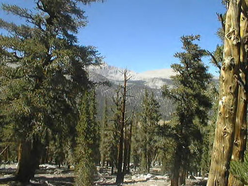 View to the Cottonwood Lakes Basin from Trail Pass