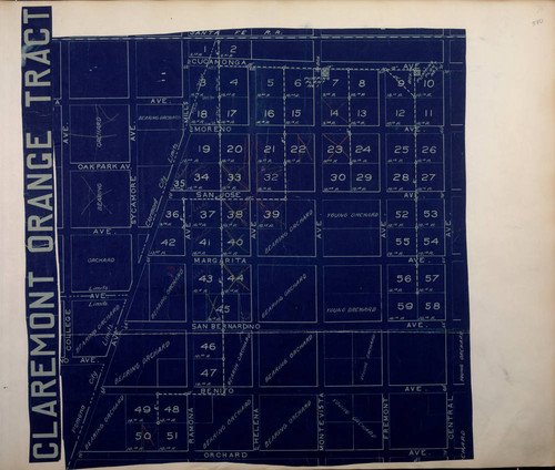 Wheeler scrapbook 3, page 390, Claremont orange tract map