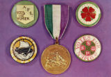 Suffragette badges