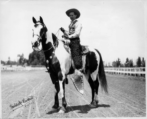 Horseman On His Mount