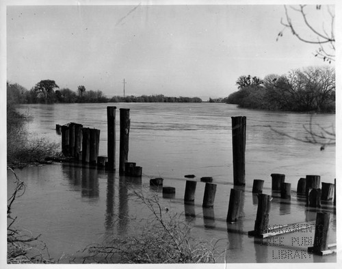 High Water on the Sacramento River