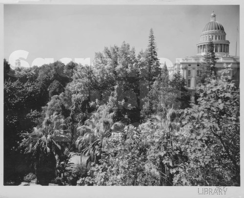 The California State Capitol Building Shrouded in Greenery