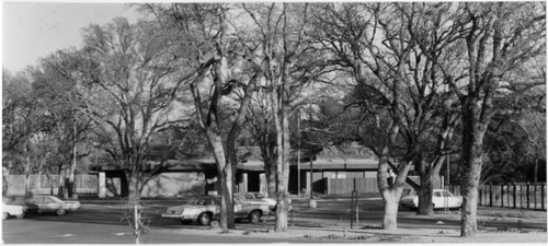 Oaks at Sylvan Oaks Branch