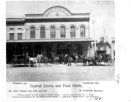 Central Livery and Feed Stable